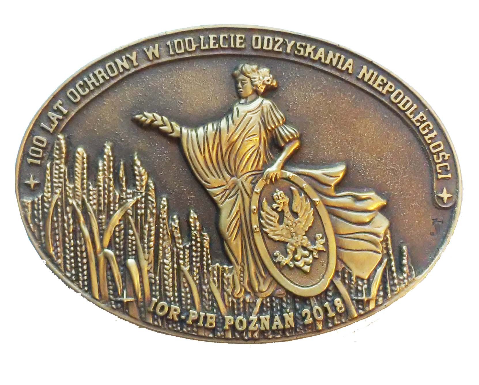 medal okolicznościowy; wym: 140x100 mm, medal odlewany z brązu, medal cyzelowany oksydowany i woskowany