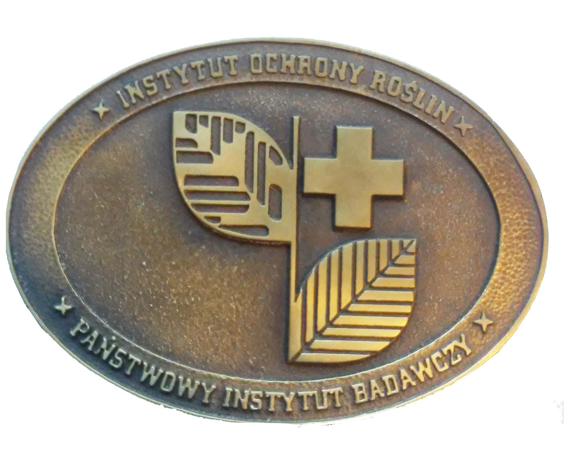 medal okolicznościowy; wym: 140x100 mm, medal odlewany z brązu, medal cyzelowany oksydowany i woskowany